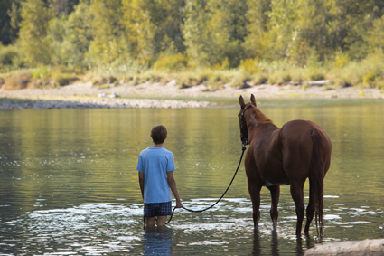 Lean on Pete